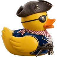 Lifestyle duck 11 — rubber duck skin
