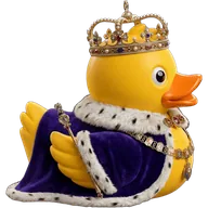 Lifestyle duck 12 — rubber duck skin